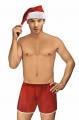 Santa oble�ek pro mu�e - ML